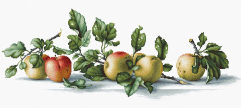 RARE find: Apples SB2265 - Cross Stitch Kit by Luca-s