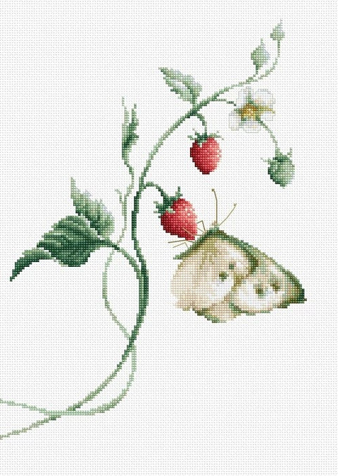 RARE find: Aroma of Summer SB2268 - Cross Stitch Kit by Luca-s