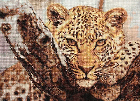 RARE find: Leopard SB525 - Cross Stitch Kit by Luca-s