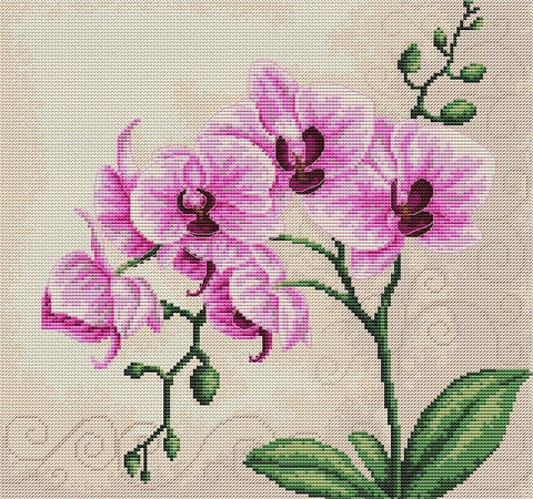 RARE find: Orchid SB2227 - Cross Stitch Kit by Luca-s