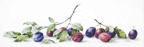 RARE find: Plums SB2257 - Cross Stitch Kit by Luca-s