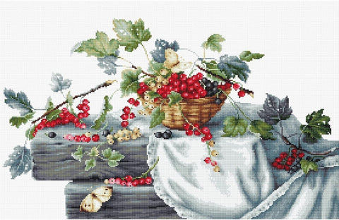 RARE find: Red Currants SB2262 - Cross Stitch Kit by Luca-s