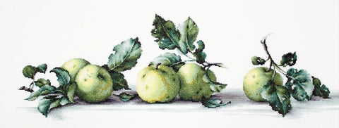 RARE find: Still Life with apples SB2259 - Cross Stitch Kit by Luca-s