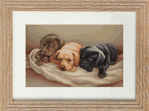 RARE find: Three dogs SB434 - Cross Stitch Kit by Luca-s