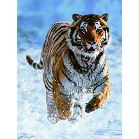 Ravensburger Puzzle 500 Tiger in Winter