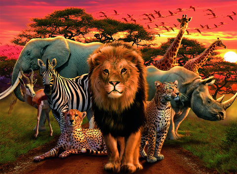 Ravensburger dėlionė "Puzzle 500 African Splendor"