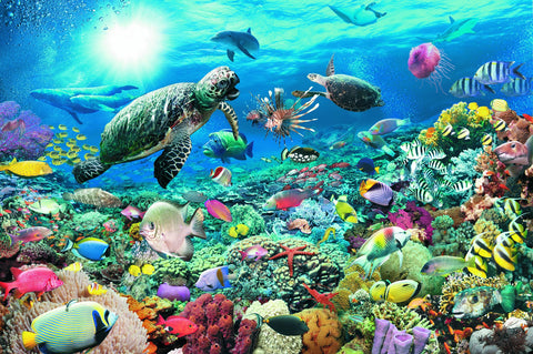 Ravensburger dėlionė "Puzzle 5000 Underwater Tranquility"