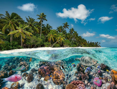 Ravensburger Jigsaw Puzzle: A Dive in the Maldives