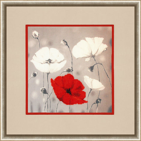 Red Poppies S/KN001