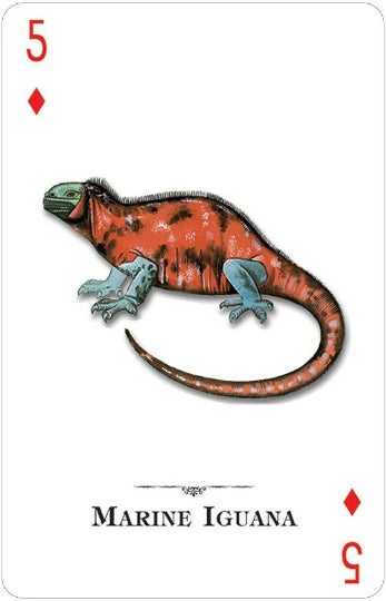 Reptiles And Amphibians of the Natural World playing cards