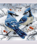 Blue Jays RIOLIS 1925
