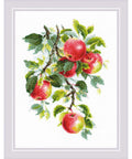 Juicy Apples cross stitch kit by RIOLIS Ref. no.: 1938