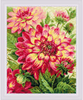 Dahlias RIOLIS 1968
