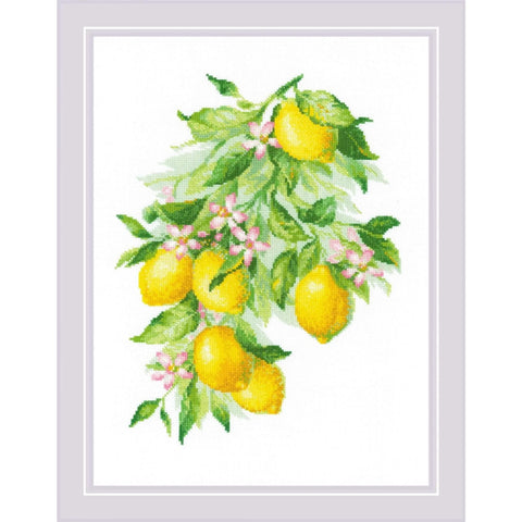 Bright Lemons RIOLIS 2054