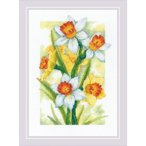RIOLIS 2189