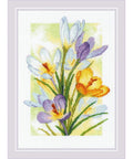 Spring Glow Crocuses Cross Stitch kit by RIOLIS 2190