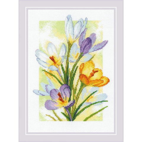 Spring Glow Crocuses RIOLIS 2190