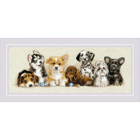 Puppies RIOLIS 2221