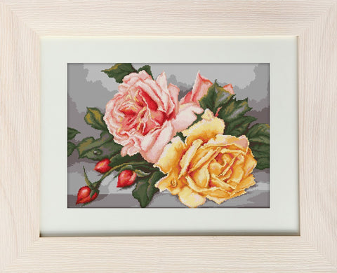 Roses SG485 - Cross Stitch Kit by Luca-s