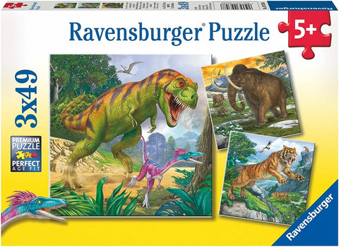 Rudder of Prehistorical Times - Puzzle 3X49