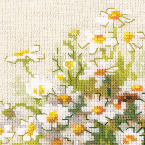 Russian Daisies - Cross Stitch Kit from RIOLIS Ref. no.:1478