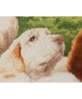 Counted Cross Stitch Kit New Guardian Zolotoe Runo