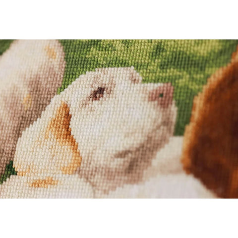 Counted Cross Stitch Kit New Guardian Zolotoe Runo