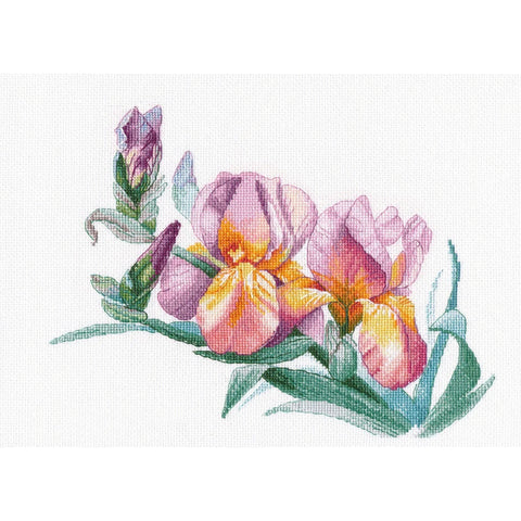 Counted Cross Stitch Kit with Golden Irises, Aida Cotton, Threads, Needle, Chart and Instructions | Oven