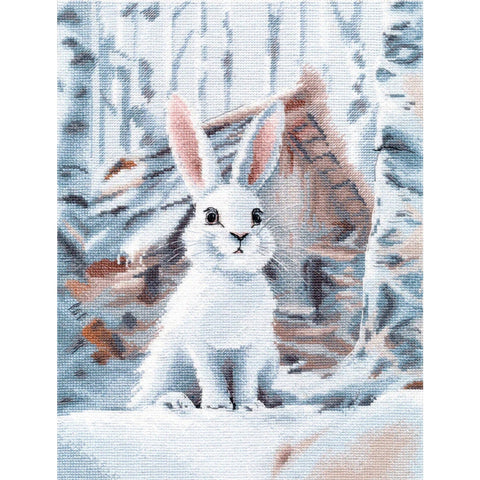 Cross stitch kit