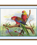 Parrots S509 - Hobby.lt