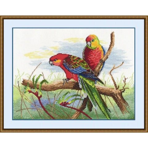 Parrots S509 - Hobby.lt