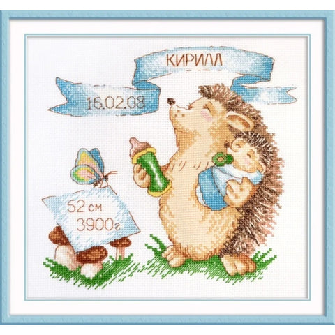 Hedgehog Sampler Boy S915 - Hobby.lt