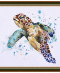 Greatness of the Turtle S939 - Hobby.lt