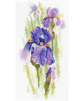Cross Stitch Kit Ethereal Iris SA-020