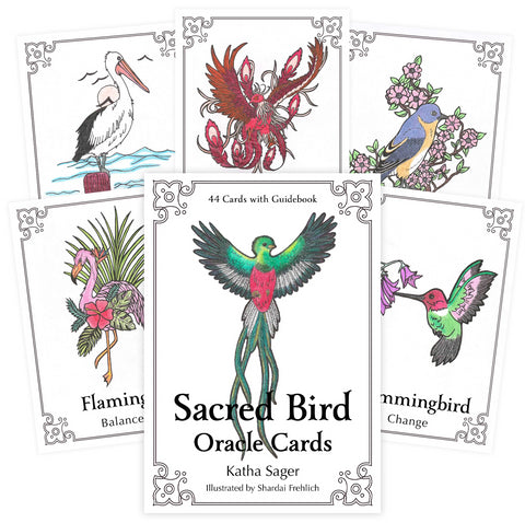 Sacred Bird Oracle Cards Animal Dreaming