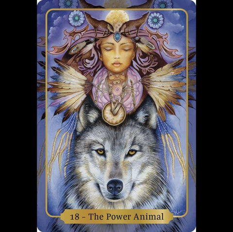 Sacred Blessings Oracle Cards Animal Dreaming