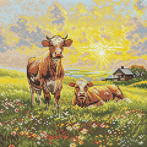 Cross stitch kit