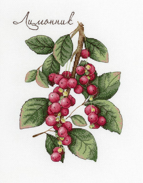 Schisandra SNV-625 cross stitch kit by MP Studio