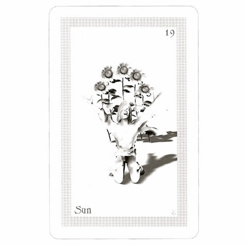 ShadowFox Tarot cards Schiffer Publishing