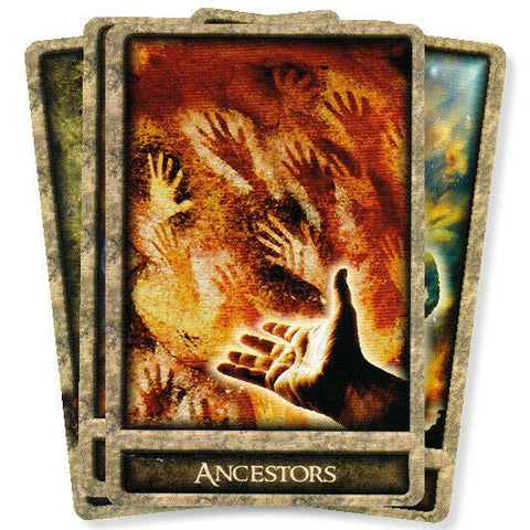 Shamans Path Message Cards Animal Dreaming
