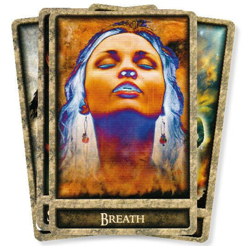 Shamans Path Message Cards Animal Dreaming