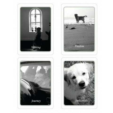 Simple Wisdom of the Household Dog Cards Schiffer Publishing