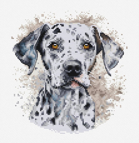 Luca-S Dalmatian Counted Cross Stitch Kit with Embroidery Hoop 15x16cm