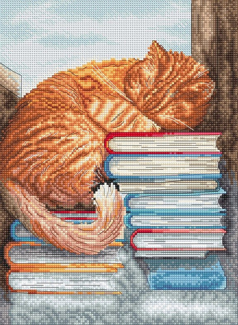 Afternoon Nap Cross Stitch Embroidery Kit, LetiStitch, 18 x 24 cm, Zweigart Aida 16ct, Anchor Cotton Threads