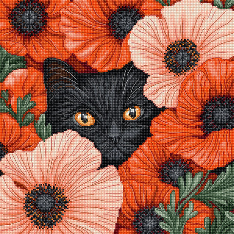 Cross Stitch Kit, Poppy Eyes Floral Design, 24x24 cm, Letistitch, Canvas, Cotton Threads, Needle, Chart and Instructions