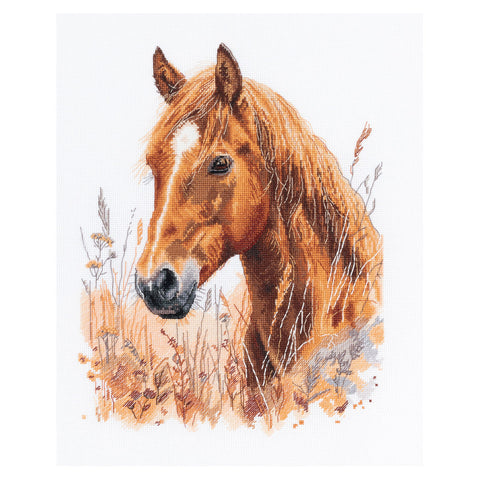 PANNA Steppe Grassland Cross Stitch Kit, 26.5 x 33 cm, Aida 16, Advanced Embroidery, 23 Colors, 18,268 Stitches