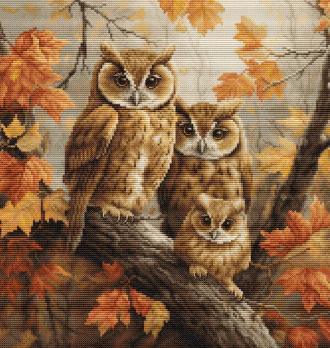 Luca-S Owl Family Counted Cross Stitch Kit 27x29 cm, Fabric Threads Needle Chart