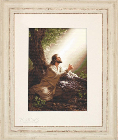 Luca-S Jesus Christ Cross Stitch Kit 35x52cm Aida Fabric Cotton Threads Needle