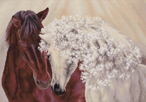 Luca-S The Perfect Couple Cross Stitch Kit 45x32cm, Canvas Threads Needle Chart