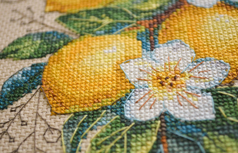 Cross Stitch Embroidery Kit Lemon Mood, 14x21 cm, Abris Art, 26 Thread Colors, Brown Fabric, SAGA Pattern